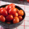 Hybrid-Tomato-1