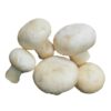 Mushrooms1