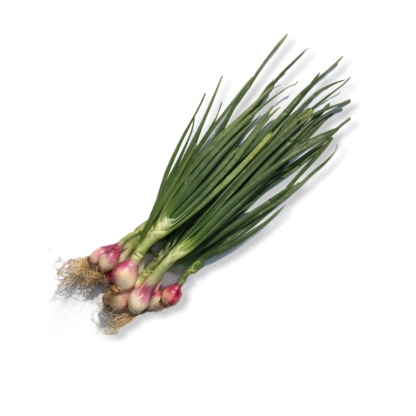Spring onion1