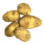 Potato-new2-150×150